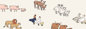 2017.05.08_Animal-Families_Banner